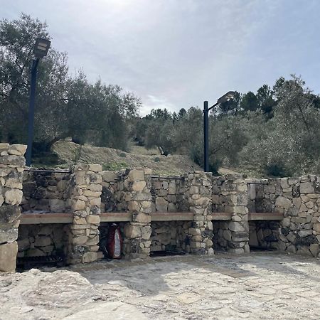 Vina Zarzarrosa Osuna Exterior photo
